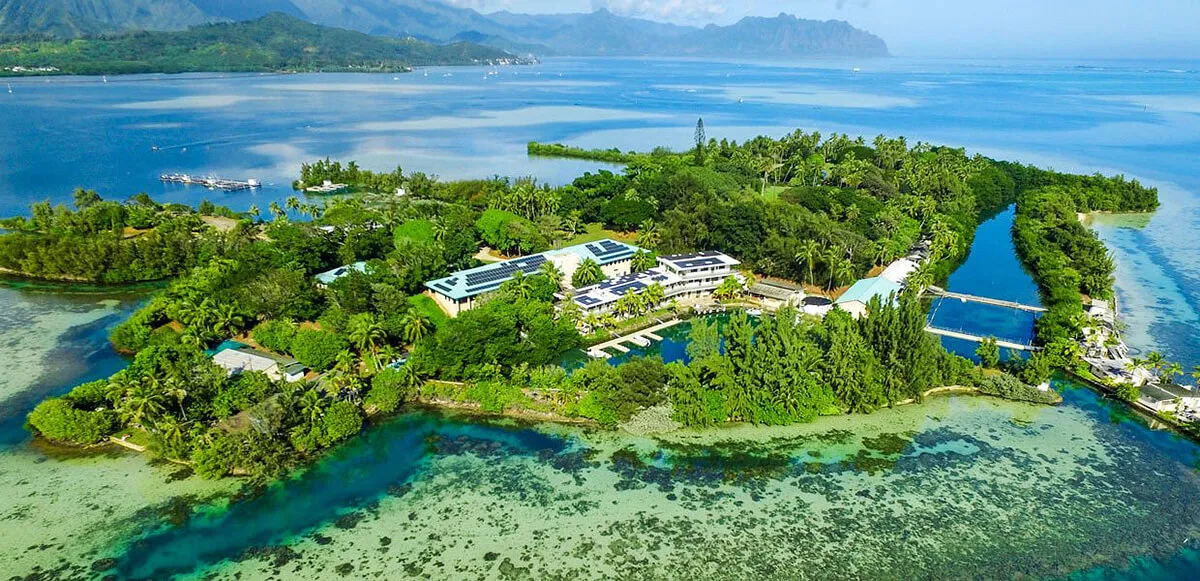 University of Hawaii at Manoa
